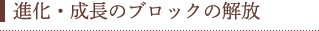 進化・成長のブロックの解放