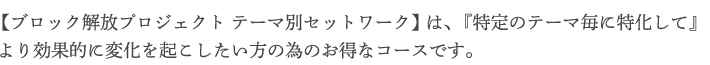 【ブロック解放プロジェクト テーマ別セットワーク】は、『特定のテーマ毎に特化して』より効果的に変化を起こしたい方の為のお得なコースです。
