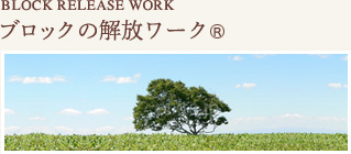 ブロックの解放ワーク